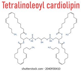 Cardiolipin (tetralinoleoyl cardiolipin) molecule. Important component of the inner membrane of mitochondria. Skeletal formula.