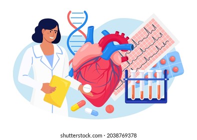 Cardiology. Cardiologist examine human heart. Doctor treat heart disease, check patient heartbeat and pulse, cardiogram, diagnosis stroke. Medical examination cardiovascular pressure. Vector design