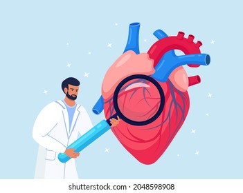 Cardiology. Check up of Heart Health and Cardiovascular Pressure. Cardiologist Studying Human Organ with Magnifying Glass. Circulatory System Complications, Ischemic Heart, Coronary Artery Disease