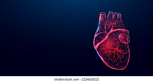 Cardiology concept banner. Wireframe low poly style red heart. Abstract modern 3d vector illustration on dark blue background.