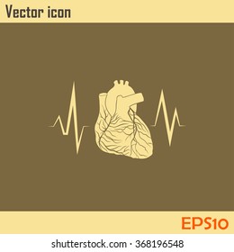 cardiology icon