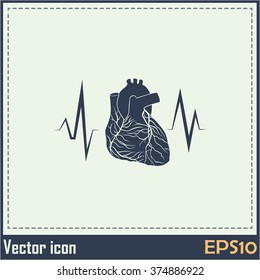 cardiology icon