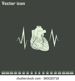 cardiology icon
