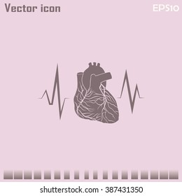 cardiology icon