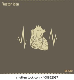 cardiology icon