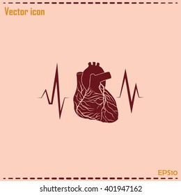 cardiology icon