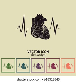 cardiology icon