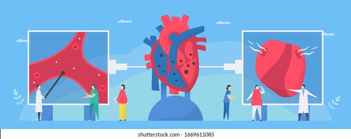 Cardiology vector illustration. This disease calls endocarditis. It is infection of endocardium that is inner heart chambers and valves. Risk factor include anemia and murmur. Diagnostic and analysis.