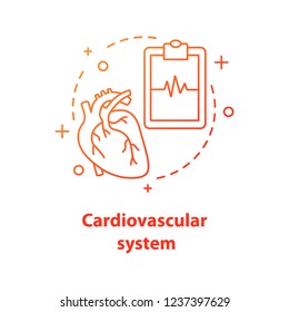 Cardiovascular system concept icon. Cardiology idea thin line illustration. Healthcare. Human heart anatomy. Vector isolated outline drawing