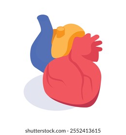 Vector isométrico del sistema cardiovascular en estilos de moda