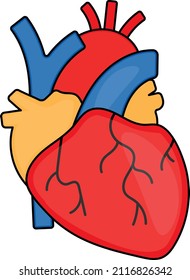 Cardiovascular system Vector color Icon Design, Organ System Symbol, Human Anatomy Sign, Human Body Parts Stock illustration, Human Heart Concept, 