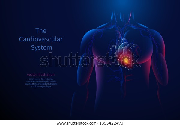 The\
cardiovascular system. Vector isolated heart with pain center. Low\
poly wireframe. Polygonal 3D human body and organ on dark\
background. Medicine concept with geometry\
triangle.