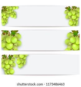 Cards or labels with realistic grapes. Vector illustration