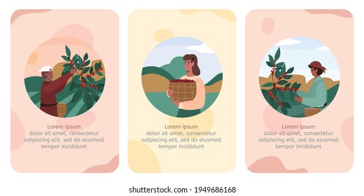 Cards or onboarding pages with farmers processing coffee vector illustration.