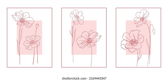 Cards with red poppies isolated on white background