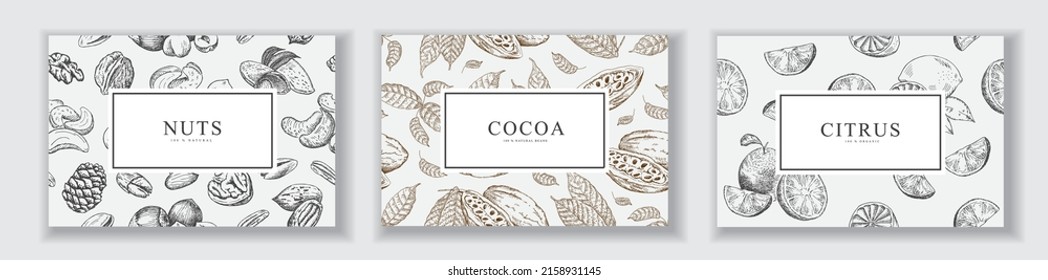 Cards Set with Hand Drawn Nuts, Citrus and Cocoa beans. Vector sketch Background collection with cool retro typography. Collection of templates. isolated. Line art style.