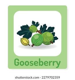 Cards for teaching children with ripe juicy gooseberries. Fruit alphabet. Preschool education. Vector illustration.