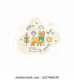 Care of domestic pet