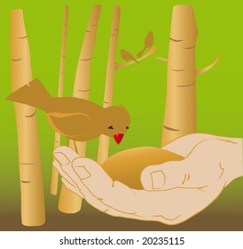 care for endangered species