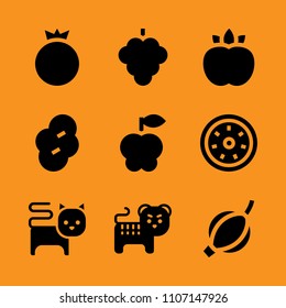 care, equipment, orange and exotic icon set. Vector illustration for web and design.