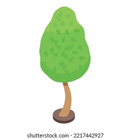 Care garden tree icon isometric vector. Trim plant. Outside yard
