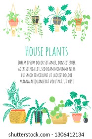 Care of house plants. House plants in pots and wicker baskets. Vector hand drawn Flyer