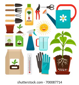 Care of houseplants and indoor gardening icons. Fertilization and watering, flowerpot with soil and sunlight, seedling cultivation isolated on white background. Vector illustration