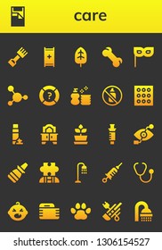 care icon set. 26 filled care icons.  Simple modern icons about  - Rake, Bed, Stretcher, Leaf, Bone, Mask, Blood, Help, Wash, Aerosol, Drugs, Foam, Mirror, Plant, Syringe, Bionic eye