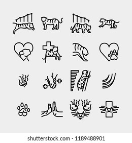 Care Tiger Icon
