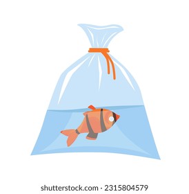 Careful fish behavior. Small fish dies in plastic bag of water. Marine pets transportation. Aquatic domestic animal. Dead goldfish floating upside down. Aquarium carp