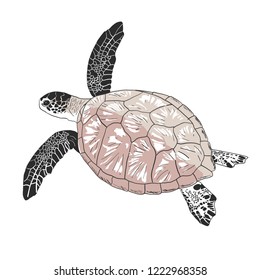 Caretta caretta, animal print. Fashion trend and textile design. Vector illustration.