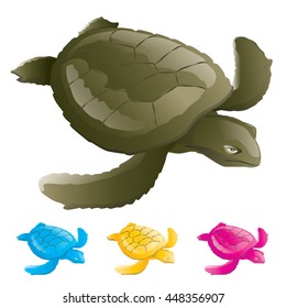 caretta vector