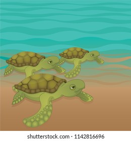 Caretta-caretta turtle and sea
