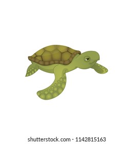 Caretta-caretta turtle vector icon