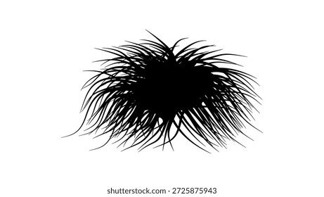 Árbol de Carex elata, vista frontal, silueta aislada negra