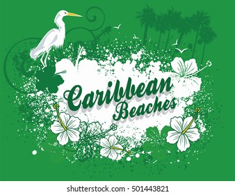 caribbean beaches