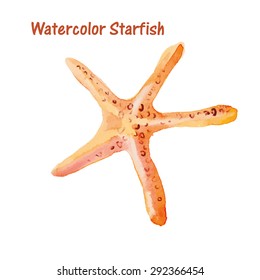 Caribbean starfish on white background.