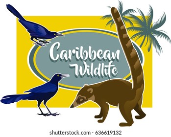 Caribbean Wildlife