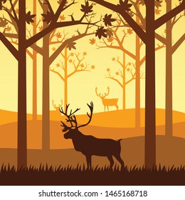 Caribou Silhouette In The Forest On The Autumn Season 