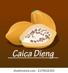 Carica is a typical fruit of Wonosobo, Central Java, Indonesia. This fruit is similar to papaya and is often called mountain papaya.