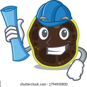 caricature picture of firmicutes Architect with blue prints