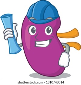 caricature picture of kidney Architect with blue prints