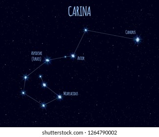 Carina (The Keel) constellation, vector illustration with the names of basic stars against the starry sky