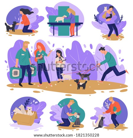 Caring for abandoned animals, set of characters or volunteers communicating with dogs and cats from shelters or adoption centers. Box with puppies, woman playing with canine, vector in flat style
