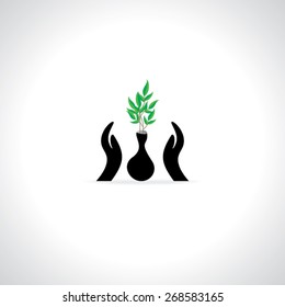 caring concept of green pot vector illustration