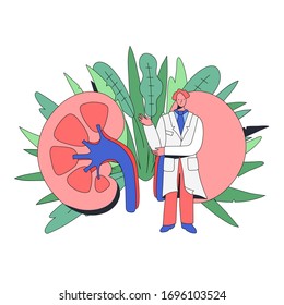 Caring good professional doctor in a medical coat stands near the kidneys, points to it and smiles. Background - Green Tropical Leaves and Plants. Minimal cartoon style