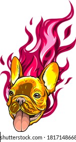 carlino head Dog Flame Tattoo vector illustration