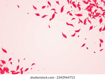 Carmine Floral Vector Pink Background. Fall Rose Pattern. Coral Blossom Flying Wallpaper. Scarlet Tender Peach Design.