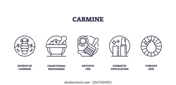 Carmine Icons outline depicts the lifecycle and uses of carmine, featuring a cochineal insect, a mortar and pestle, and a paint palette. Outline icons set.