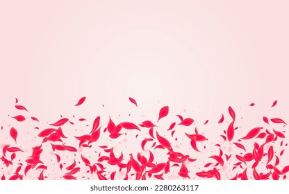 Carmine Petal Vector Pink Background. Falling Floral Pattern. Coral Cherry Summer Texture. Scarlet Beauty Blossom Banner.